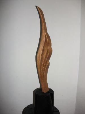 Sculptura Lemn de stejar, 45 cm
colecţie particulară - Pasăre XI