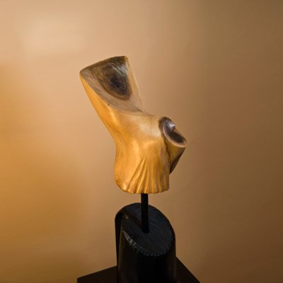 Sculptura Lemn de nuc, 63 cm
colecţia personală - Pasăre IX